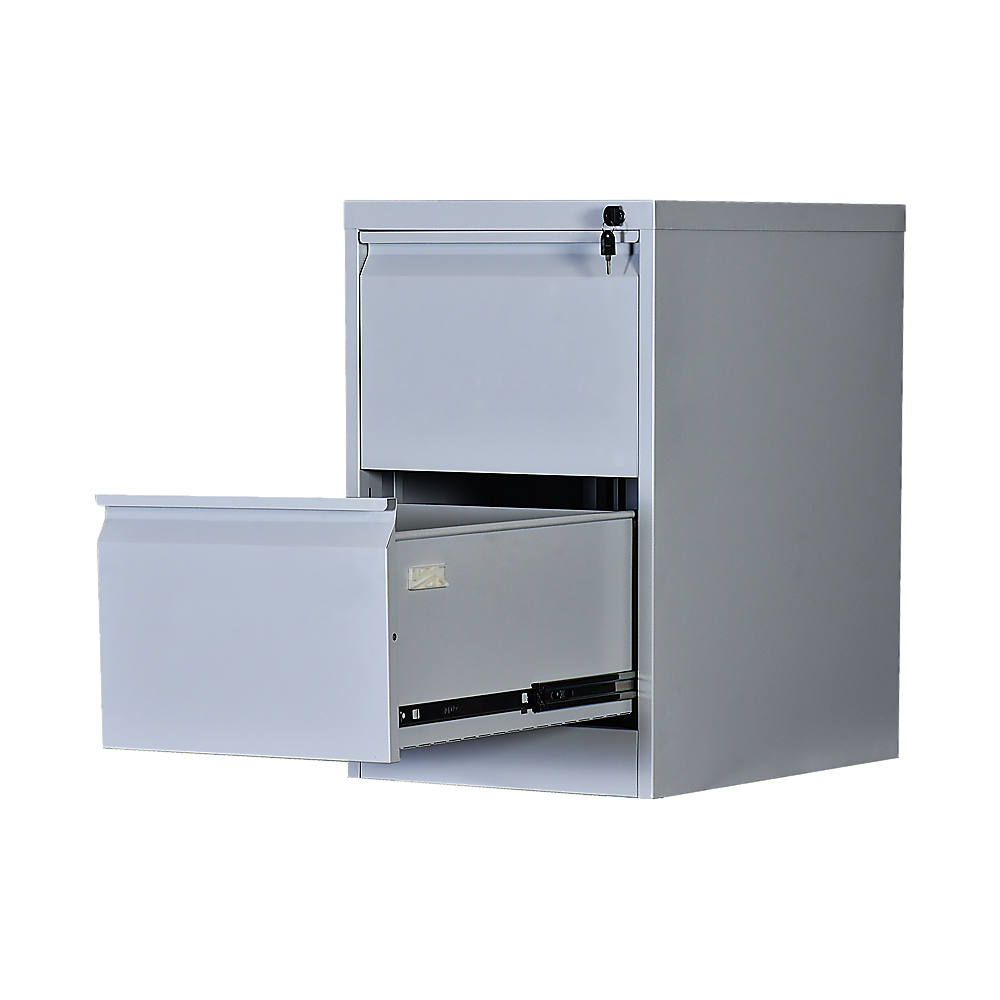 2-Drawer Shelf Office Gym Filing Storage Locker Cabinet - Cosy Abode