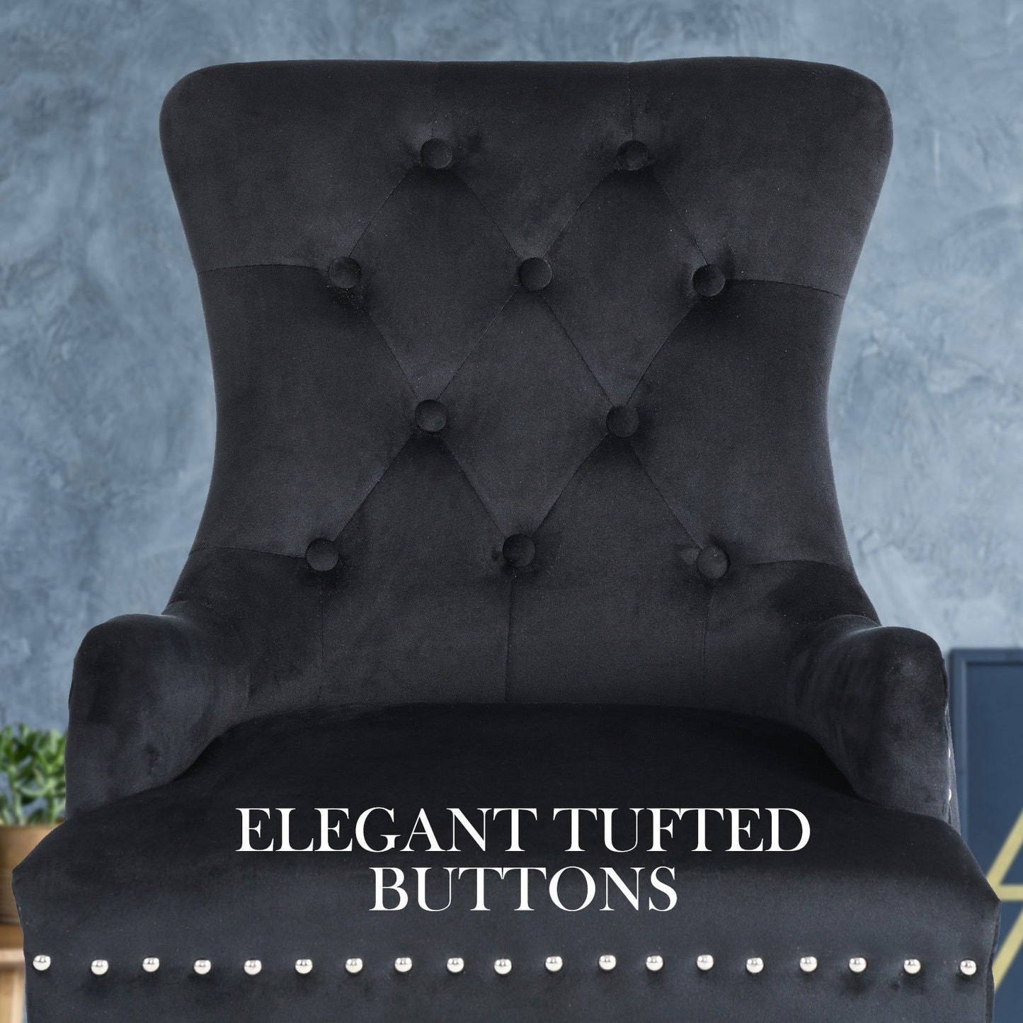 2X French Provincial Dining Chair Ring Studded Velvet Rubberwood Leg LISSE BLACK - Cosy Abode