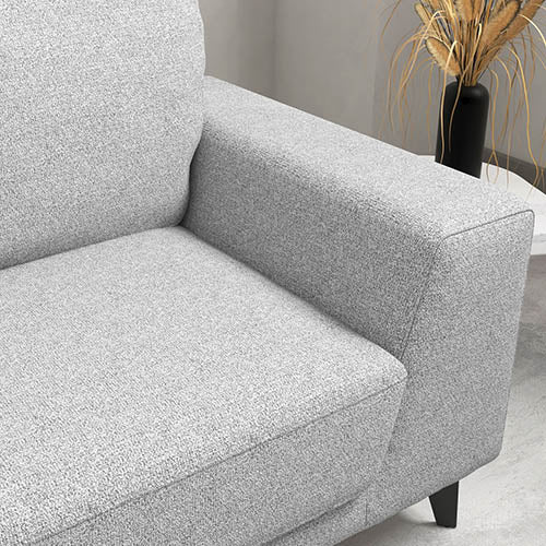 2 Seater Sofa Light Grey Fabric Lounge Set for Living Room Couch with Solid Wooden Frame Black Legs - Cosy Abode