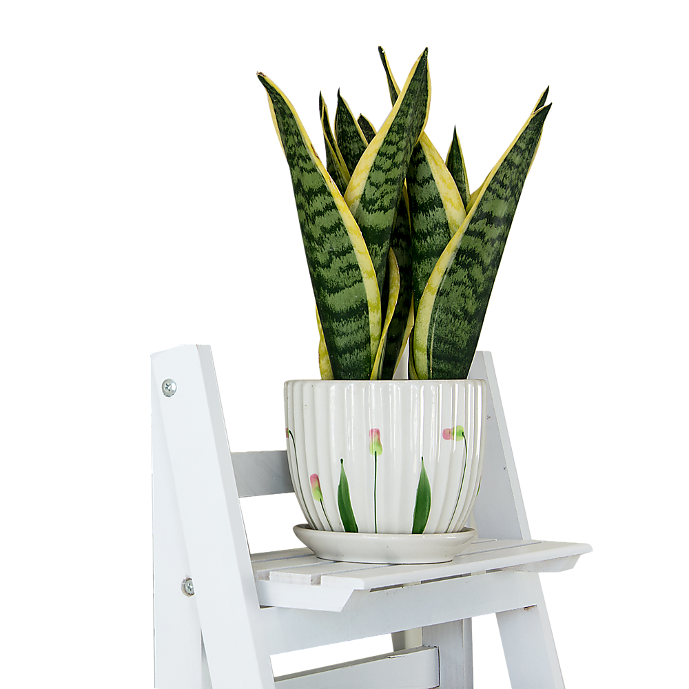 5 Tier Wooden Ladder Shelf Stand Storage Book Shelves Shelving Display Rack - Cosy Abode