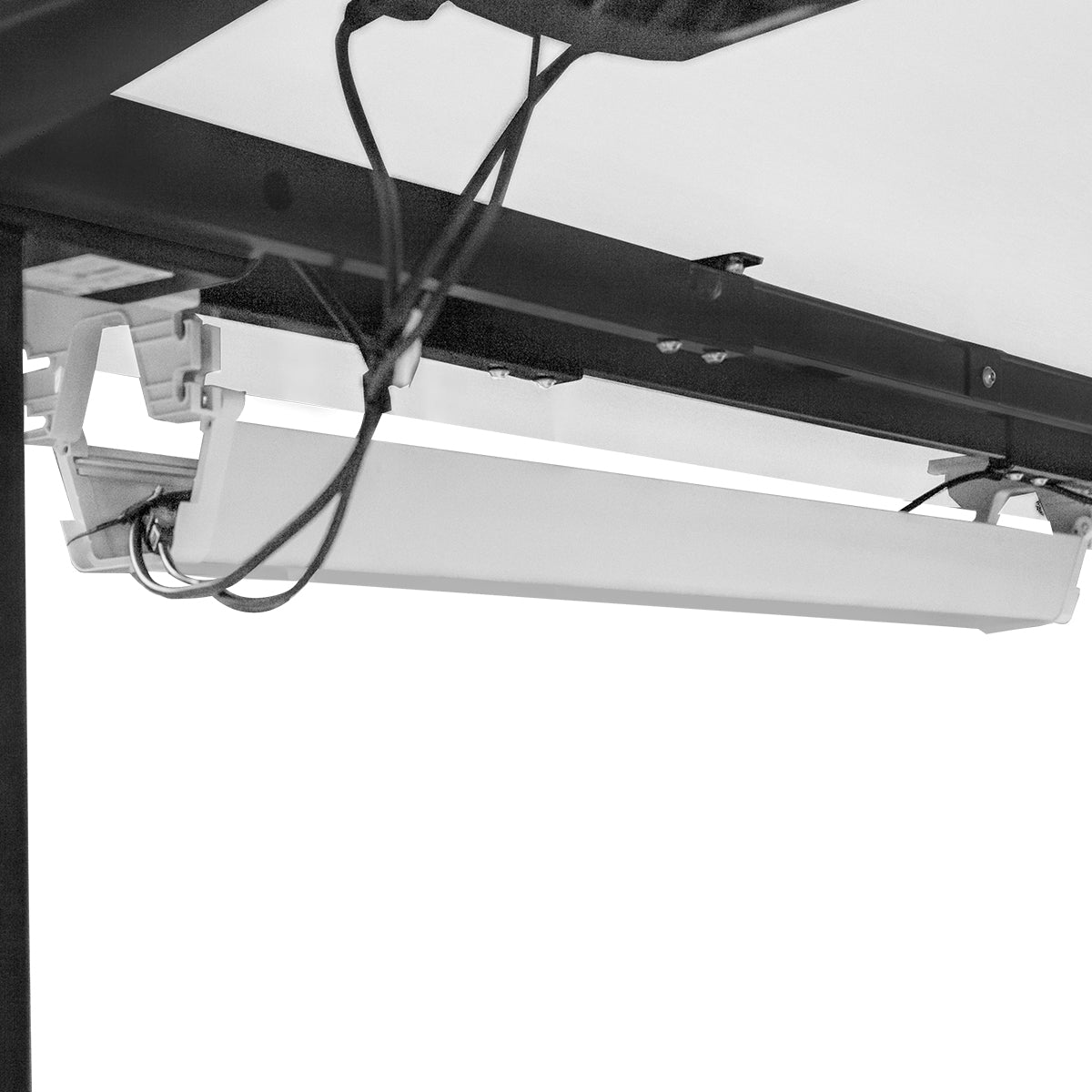 Lifespan Fitness WalkingPad M2 Treadmill with ErgoDesk Automatic White Standing Desk 1500mm + Cable Management Tray - Cosy Abode