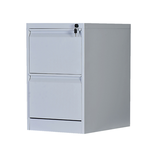 2-Drawer Shelf Office Gym Filing Storage Locker Cabinet - Cosy Abode