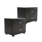 2X Bedside Table Side Storage Cabinet Nightstand Bedroom 2 Drawer ETTA BLACK - Cosy Abode