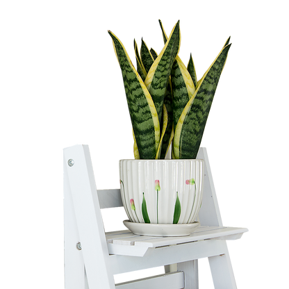 5 Tier Wooden Ladder Shelf Stand Storage Book Shelves Shelving Display Rack - Cosy Abode