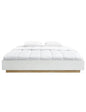 Aiden Industrial Contemporary White Queen Size Oak Bed Base Bed Frame - Cosy Abode