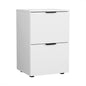 Artiss Filing Cabinet Files Storage Office Shelves File Organiser White 2 Drawer - Cosy Abode