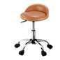 Artiss Salon Stool Swivel Chair Backrest Chairs - Cosy Abode
