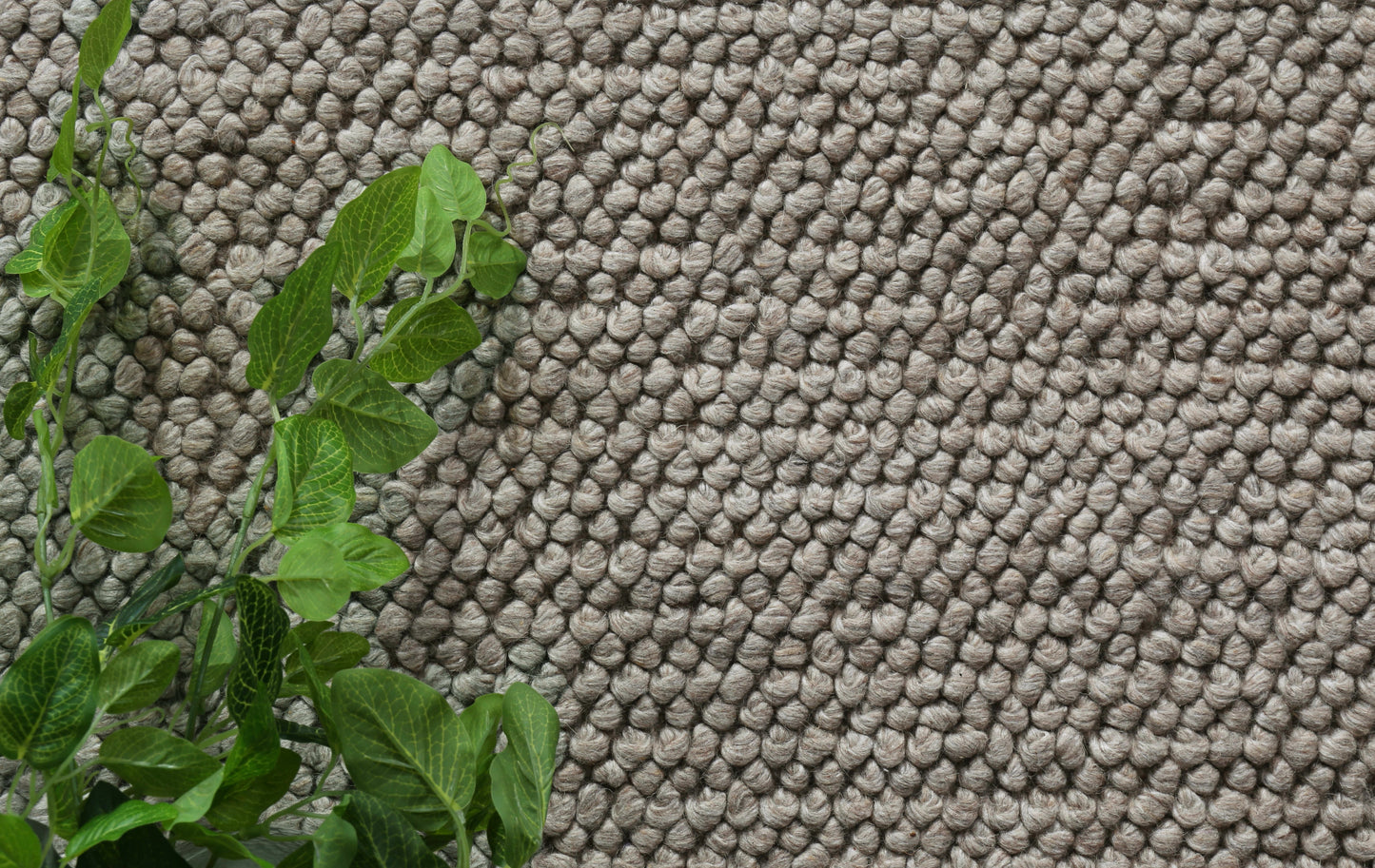 Harlow Loopy Camel Wool Blend Rug 200x290 - Cosy Abode