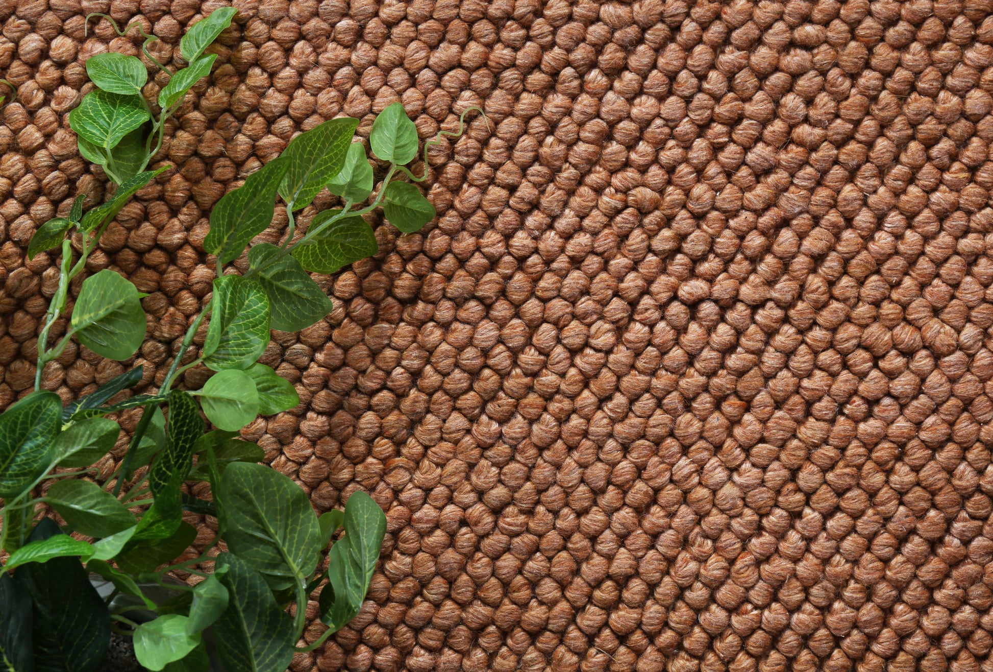 Harlow Loopy Copper Wool Blend Rug 200x290 - Cosy Abode