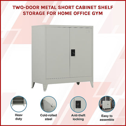 Two-Door Metal Short Cabinet Shelf Storage for Home Office with Legs - Grey - Cosy Abode